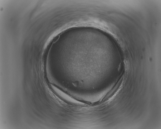 X0000068821506200605051157