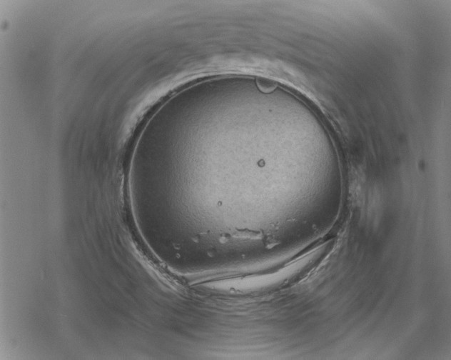 X0000068821507200605051157