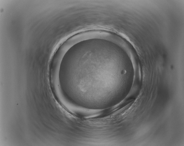 X0000068821508200605051157