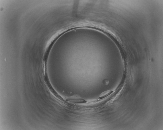 X0000068821509200605051157