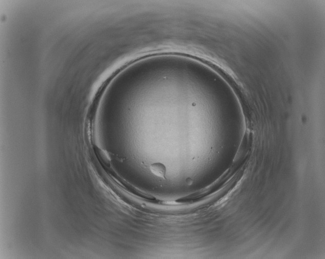 X0000068821510200605051157