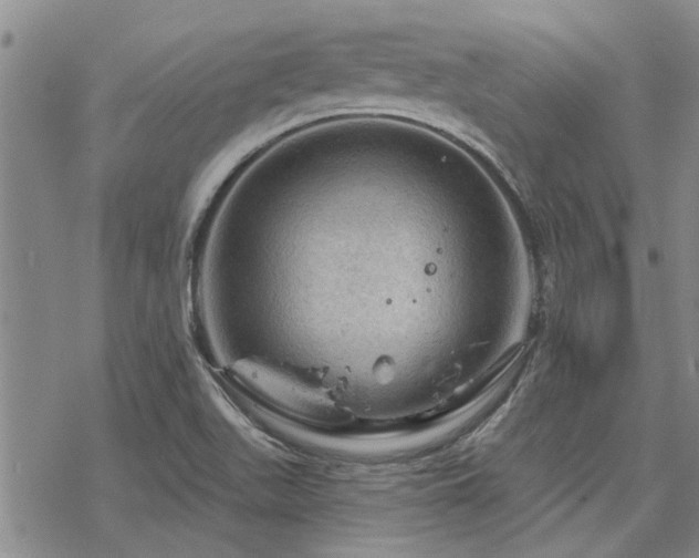 X0000068821511200605051157