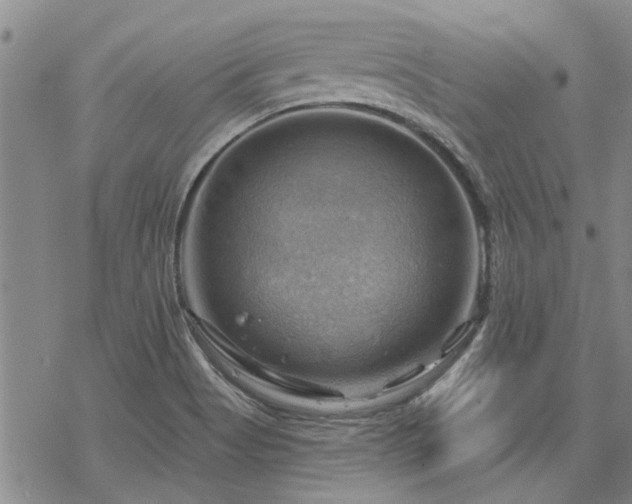 X0000068821513200605051157