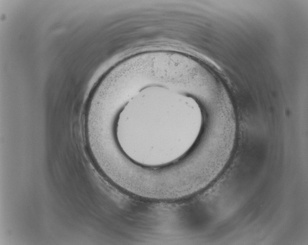 X0000068821514200605051157