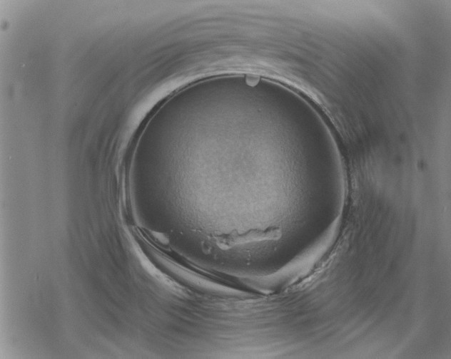 X0000068821515200605051157