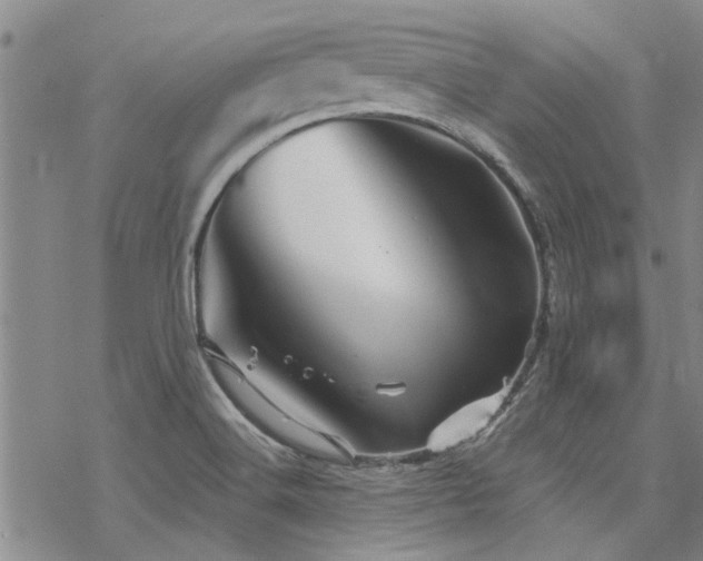 X0000068821516200605051157