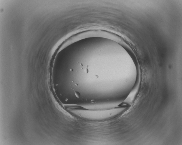 X0000068821518200605051157