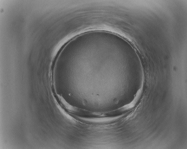 X0000068821519200605051157