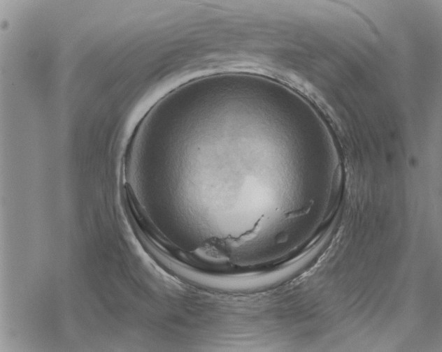 X0000068821520200605051157