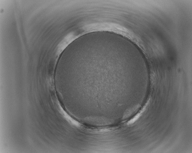 X0000068821521200605051157