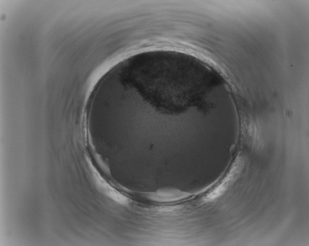 X0000068821522200605051157