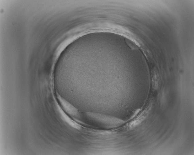 X0000068821523200605051157