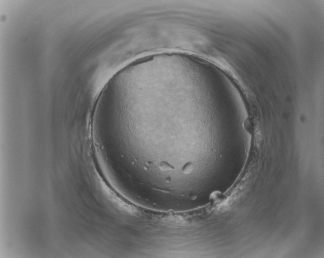 X0000068821524200605051157