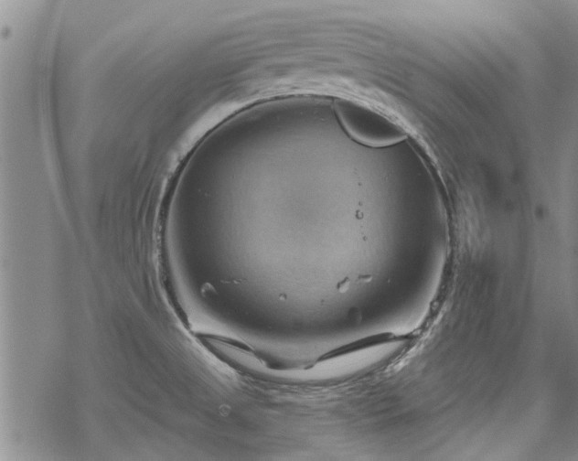 X0000068821525200605051157