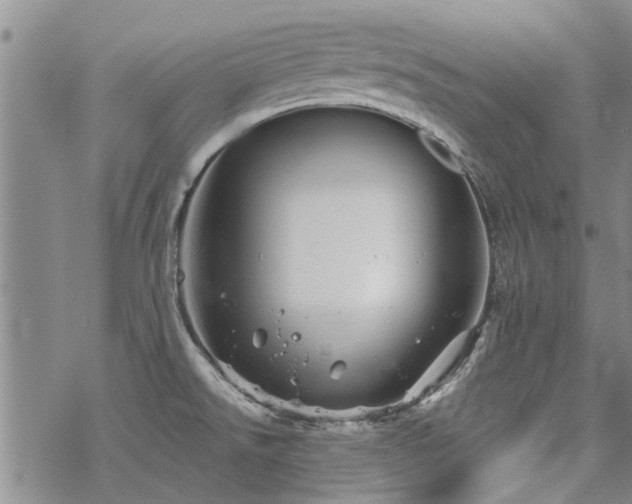 X0000068821526200605051157