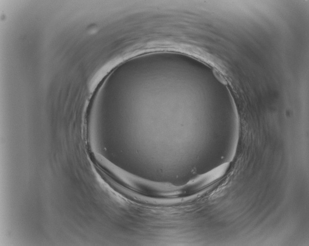 X0000068821527200605051157