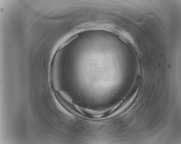 X0000068821528200605051157