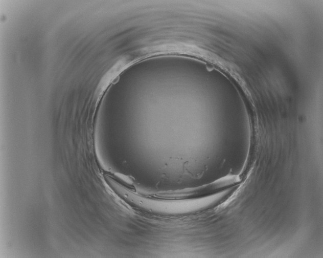 X0000068821529200605051157