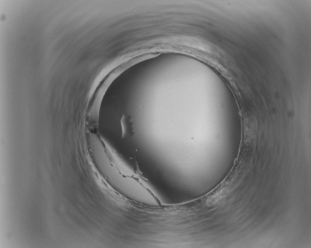 X0000068821530200605051157