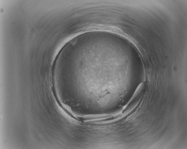 X0000068821531200605051157