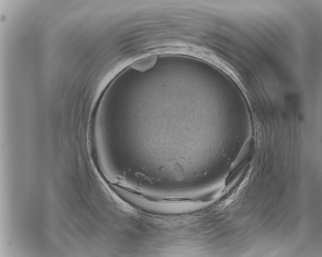 X0000068821533200605051157