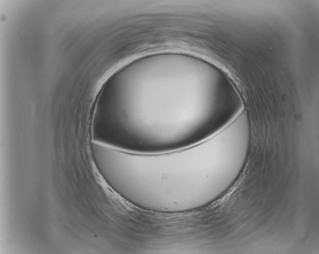 X0000068821534200605051157