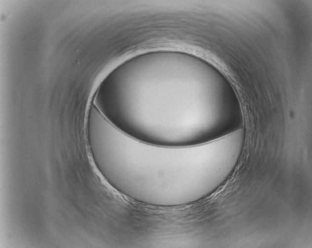 X0000068821536200605051158