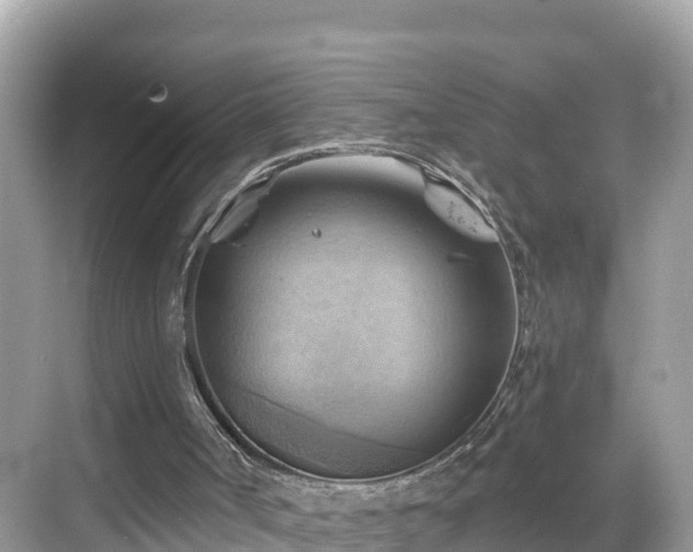 X0000068820002200605081157