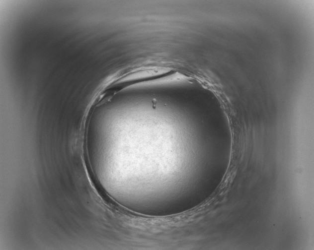 X0000068820003200605081157