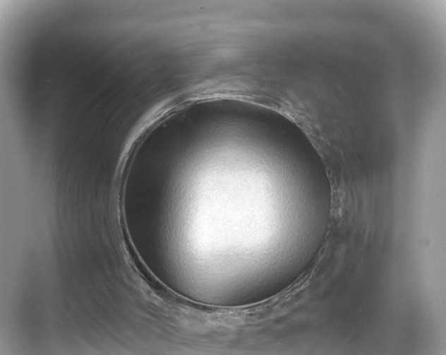 X0000068820004200605081157