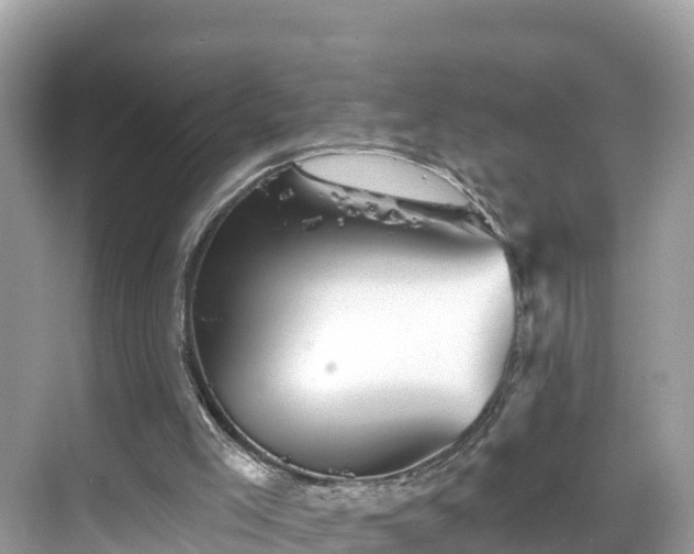 X0000068820005200605081157