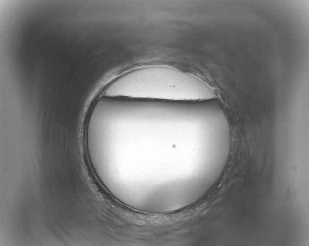 X0000068820006200605081157