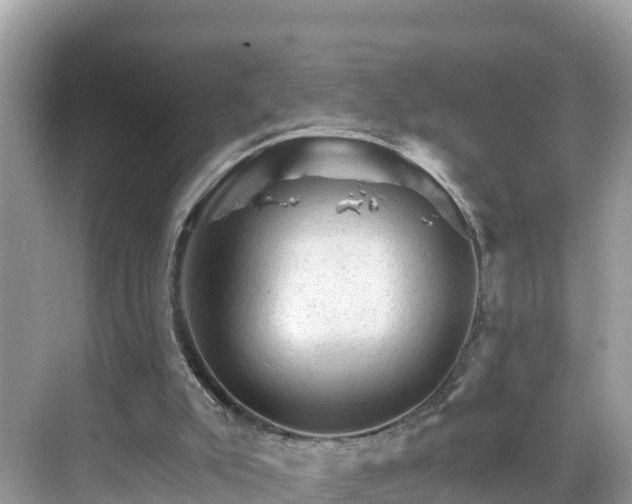 X0000068820007200605081157