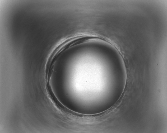 X0000068820008200605081157