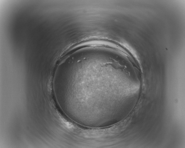 X0000068820009200605081157