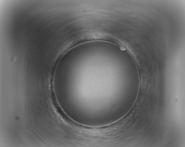 X0000068820010200605081157