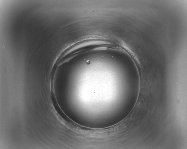 X0000068820011200605081157