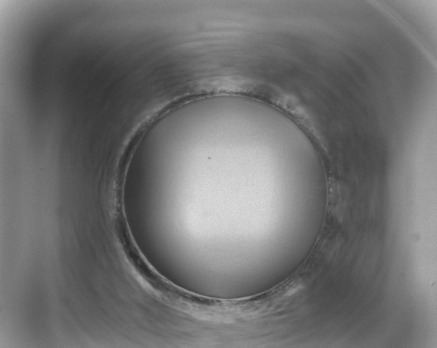 X0000068820012200605081157