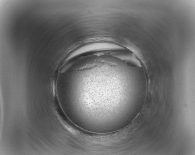 X0000068820013200605081157