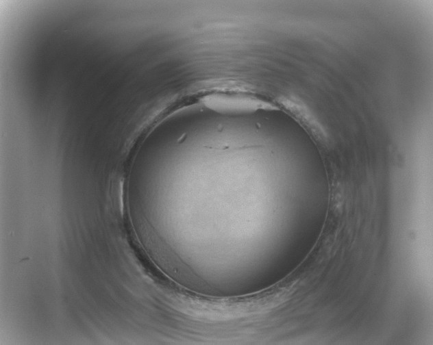 X0000068820014200605081157