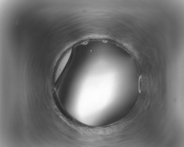 X0000068820015200605081157