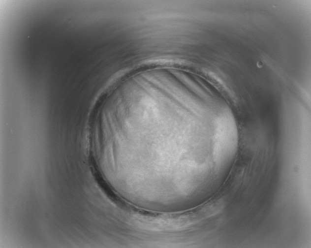 X0000068820016200605081157