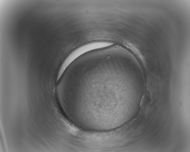 X0000068820017200605081157