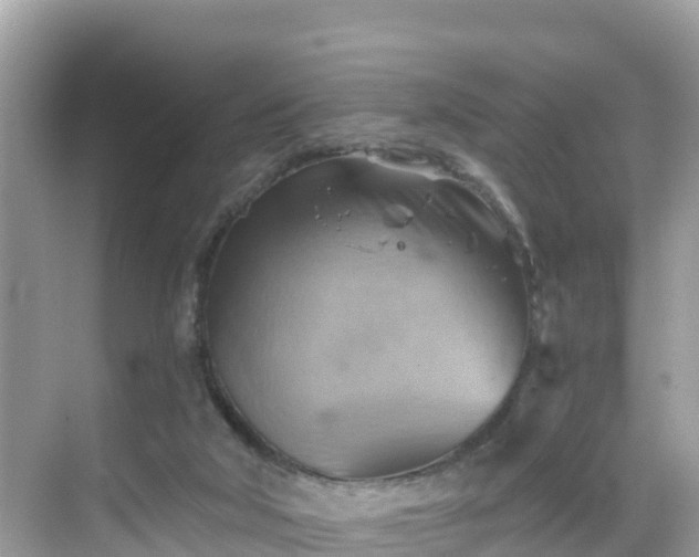 X0000068820018200605081157