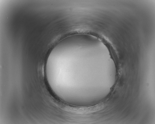 X0000068820019200605081157