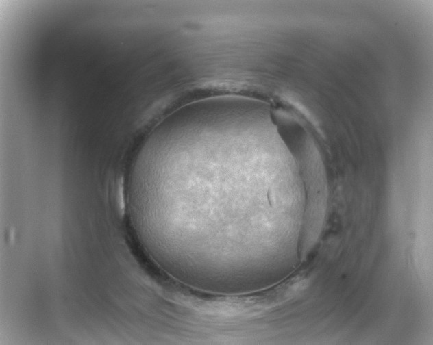 X0000068820020200605081157