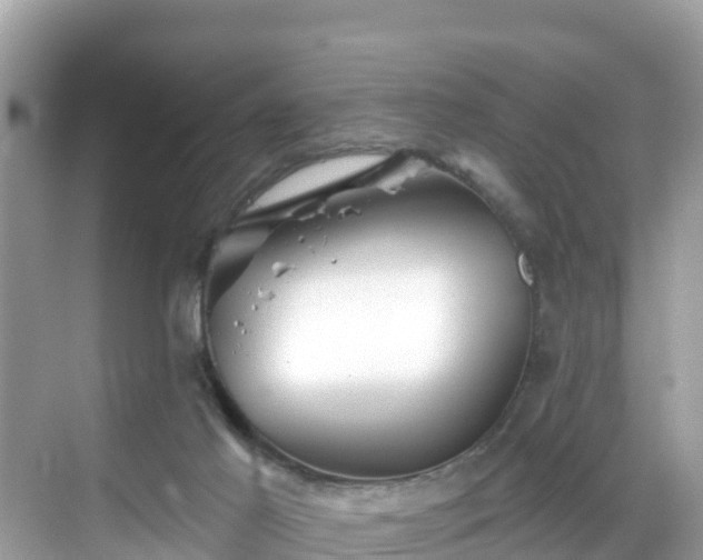 X0000068820021200605081157