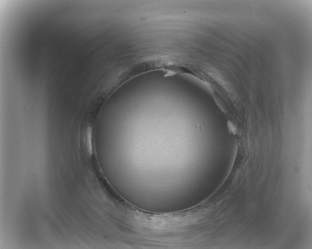 X0000068820022200605081157