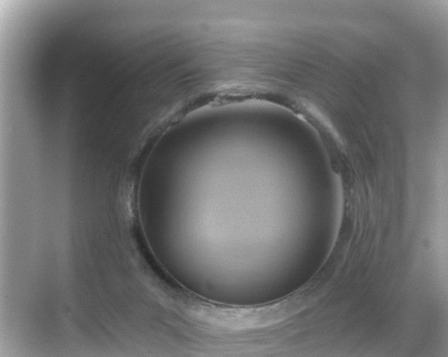 X0000068820023200605081157