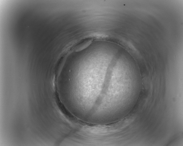 X0000068820024200605081157